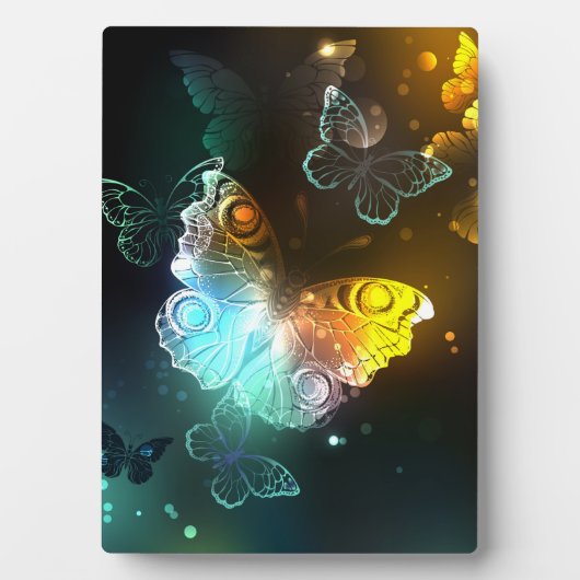 Plaque Photo Papillon lumineux et papillons de nuit (Devant)