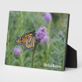 Plaque Photo Papillon monarque (Côté)