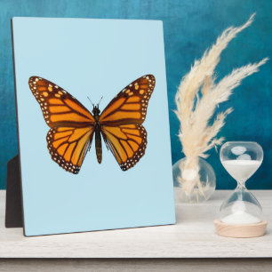 Plaque Photo Papillon Monarque