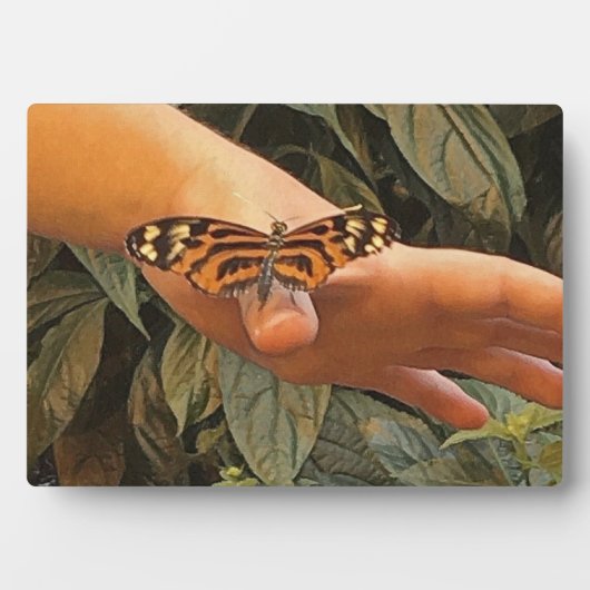 Plaque Photo Papillon Monarque convivial (Devant)