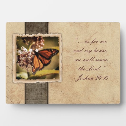 Plaque Photo Papillon Monarque vintage (Devant)