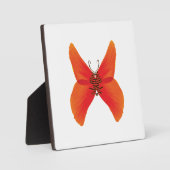 Plaque Photo Papillon rouge orange avec votre nom (Recto)