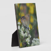 Plaque Photo Papillon Skipper sur une fleur (Côté)