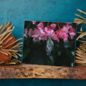 Plaque Photo Papillon suspendu aux fleurs (Côté)