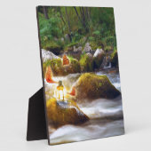 Plaque Photo Papillons (Côté)