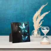 Plaque Photo Papillons de nuit (Insitu)