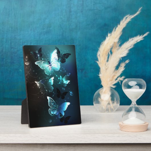 Plaque Photo Papillons de nuit (Côté)