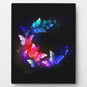 Plaque Photo Papillons de nuit Neon brillants sur arrière - pla