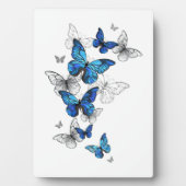 Plaque Photo Papillons volants bleus Morpho (Devant)
