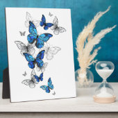 Plaque Photo Papillons volants bleus Morpho (Côté)