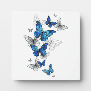 Plaque Photo Papillons volants bleus Morpho