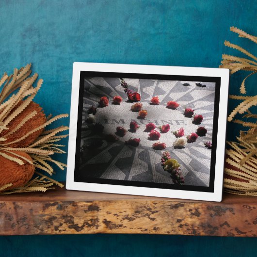 Plaque Photo Parc central de Imagine (Côté)