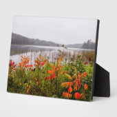 Plaque Photo Parc d'état d'Itasca | Minnesota (Côté)