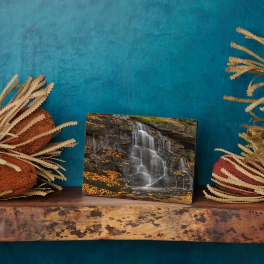 Plaque Photo Parc national de Blackwater Falls (Côté)