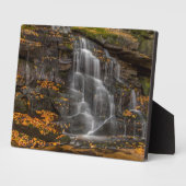 Plaque Photo Parc national de Blackwater Falls (Côté)