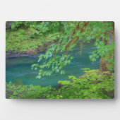 Plaque Photo Parc national olympique Washington State (Devant)