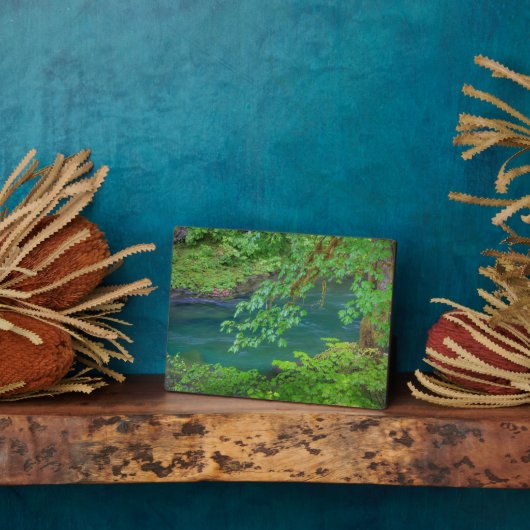 Plaque Photo Parc national olympique Washington State (Côté)