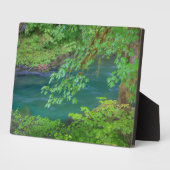 Plaque Photo Parc national olympique Washington State (Côté)