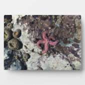 Plaque Photo Parc Rock State de Sisters (Devant)