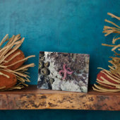 Plaque Photo Parc Rock State de Sisters (Côté)