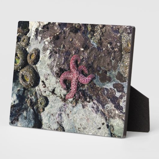 Plaque Photo Parc Rock State de Sisters (Côté)