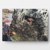 Plaque Photo Parc Rock State de Sisters (Devant)