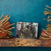 Plaque Photo Parc Rock State de Sisters (Côté)