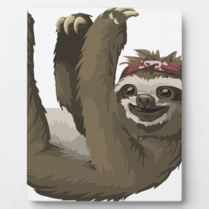 Plaque Photo paresse du crâne