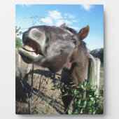 Plaque Photo Parler de cheval Brown (Devant)