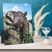 Plaque Photo Parler de cheval Brown (Côté)