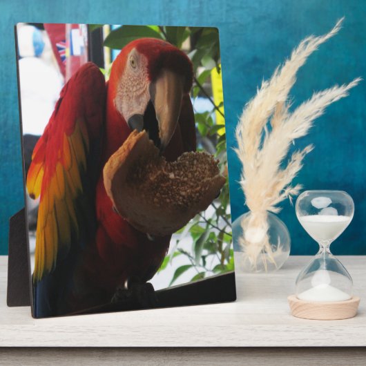 Plaque Photo Parrot Macaw Scarlet Manger Toast (Côté)