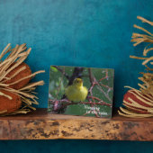 Plaque Photo Paruline (Côté)