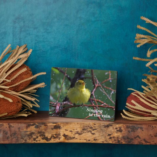 Plaque Photo Paruline (Côté)