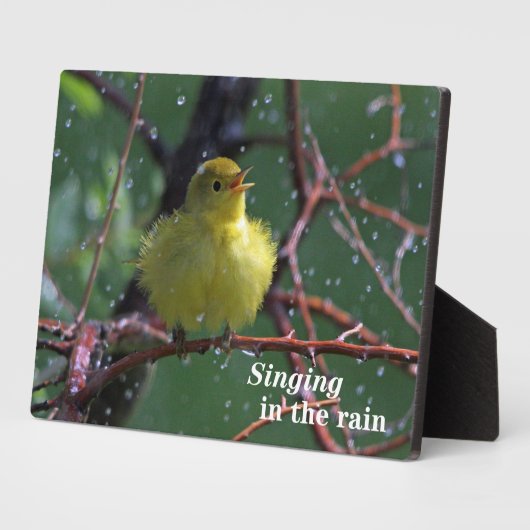 Plaque Photo Paruline (Côté)