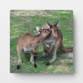 Plaque Photo Pas maintenant Skippy (Devant)