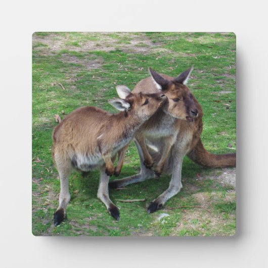 Plaque Photo Pas maintenant Skippy (Devant)