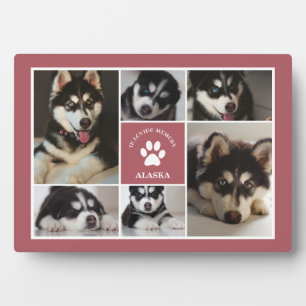 Plaque Photo Paw Animal De Compagnie En Souvenir Affectueux Ros