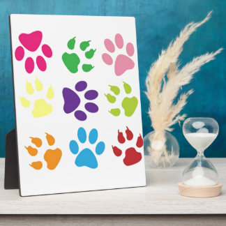 Plaque Photo Paws colorés pour chiens