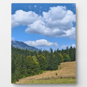 Plaque Photo Paysage de prairie de montagne - Nature sauvage Ro