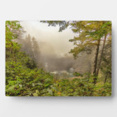 Plaque Photo Paysage forestier et océanique (Devant)