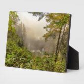 Plaque Photo Paysage forestier et océanique (Côté)