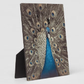 Plaque Photo Peacock bleu antique (Côté)