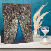 Plaque Photo Peacock bleu antique (Côté)