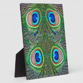 Plaque Photo Peacock Feathers (Côté)