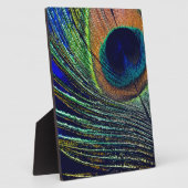 Plaque Photo Peacocok Feather (Côté)