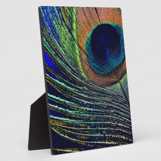 Plaque Photo Peacocok Feather (Côté)