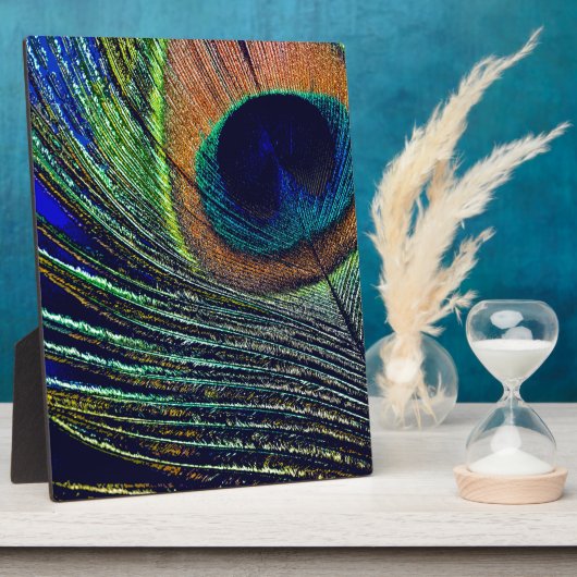 Plaque Photo Peacocok Feather (Côté)