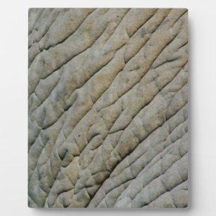Plaque Photo Peau Eléphante Personnalisée Avec Votre Nom