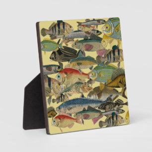 Plaque Photo Pêcheur Pêcheur En Mer Profonde Pêche Exotique Tro