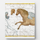 Plaque Photo Pegasus (Devant)